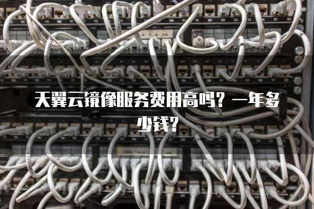 天翼云镜像服务费用高吗?一年多少钱?