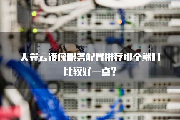 天翼云镜像服务配置推荐哪个端口比较好一点?