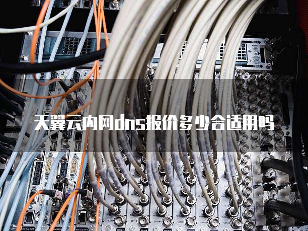 天翼云内网dns报价多少合适用吗