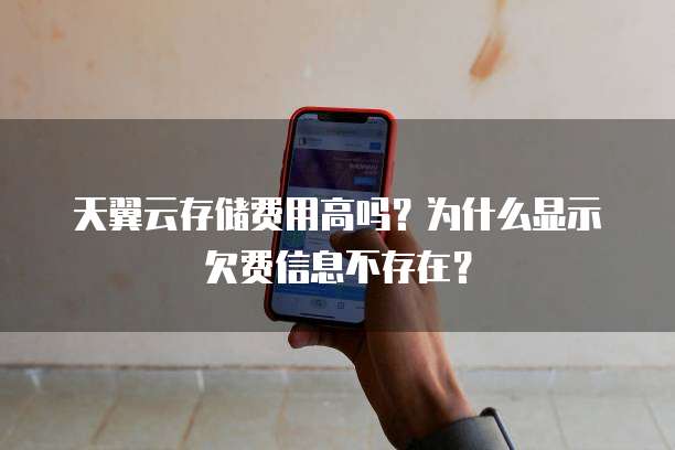 天翼云存储费用高吗?为什么显示欠费信息不存在?