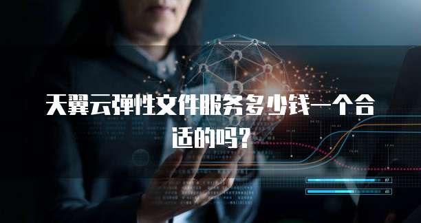 天翼云弹性文件服务多少钱一个合适的吗?