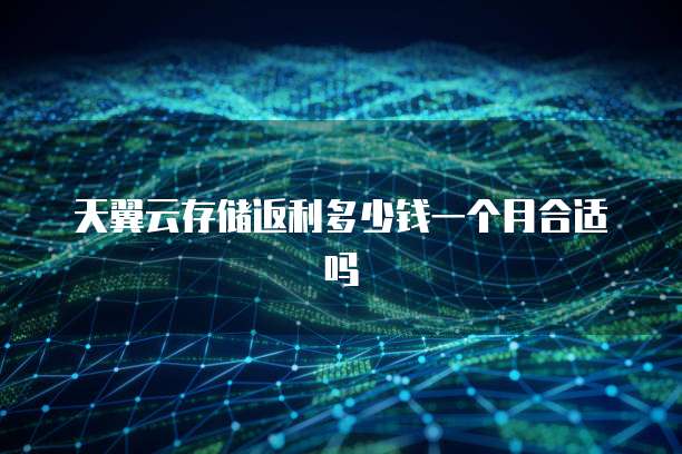 天翼云存储返利多少钱一个月合适吗