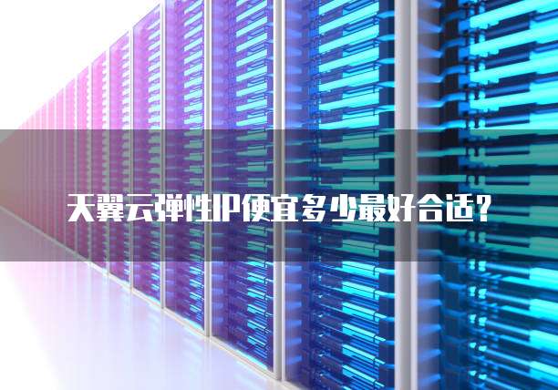 天翼云弹性IP便宜多少最好合适?