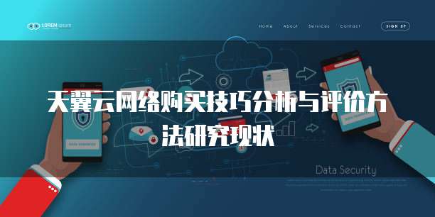 天翼云网络购买技巧分析与评价方法研究现状