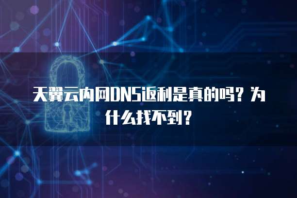 天翼云内网DNS返利是真的吗?为什么找不到?