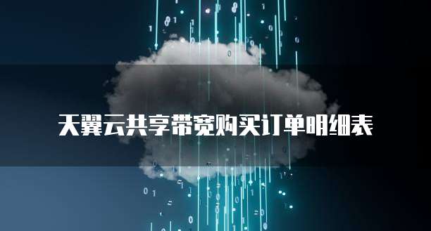 天翼云共享带宽购买订单明细表