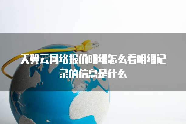 天翼云网络报价明细怎么看明细记录的信息是什么