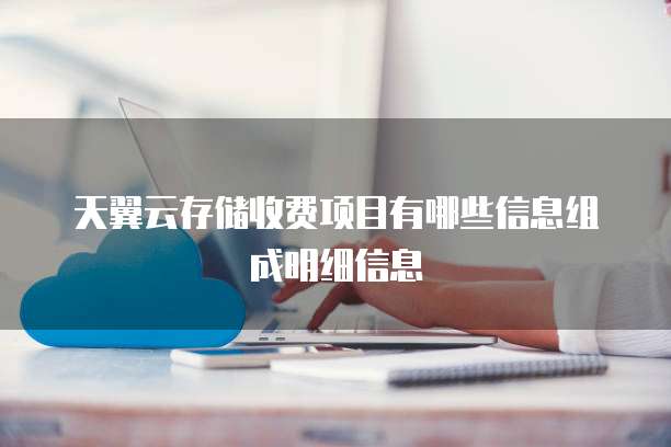 天翼云存储收费项目有哪些信息组成明细信息