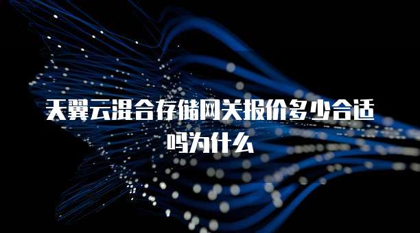 天翼云混合存储网关报价多少合适吗为什么