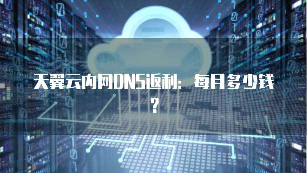 天翼云内网DNS返利:每月多少钱?