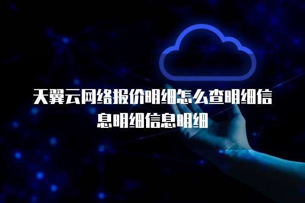 天翼云网络报价明细怎么查明细信息明细信息明细