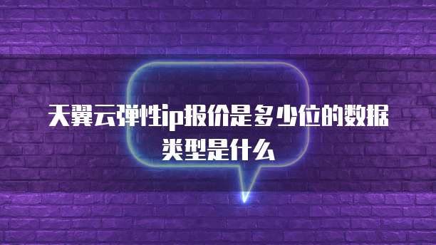 天翼云弹性ip报价是多少位的数据类型是什么