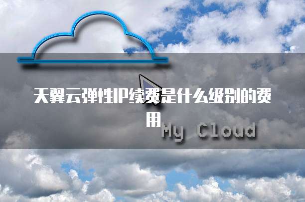 天翼云弹性IP续费是什么级别的费用