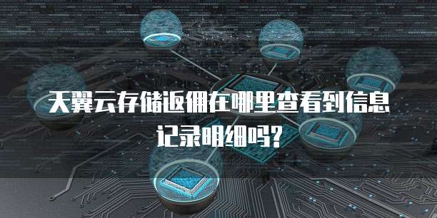 天翼云存储返佣在哪里查看到信息记录明细吗?