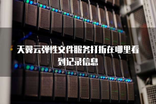 天翼云弹性文件服务打折在哪里看到记录信息