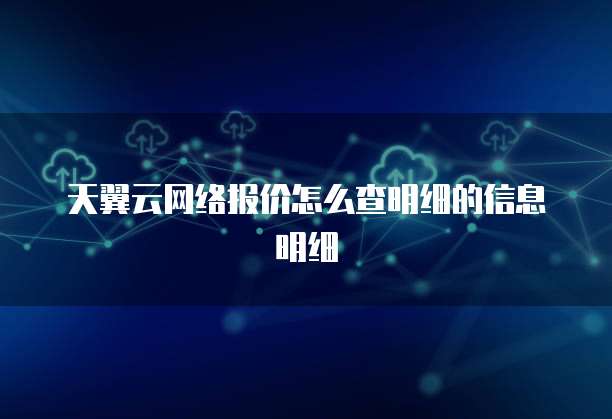 天翼云网络报价怎么查明细的信息明细