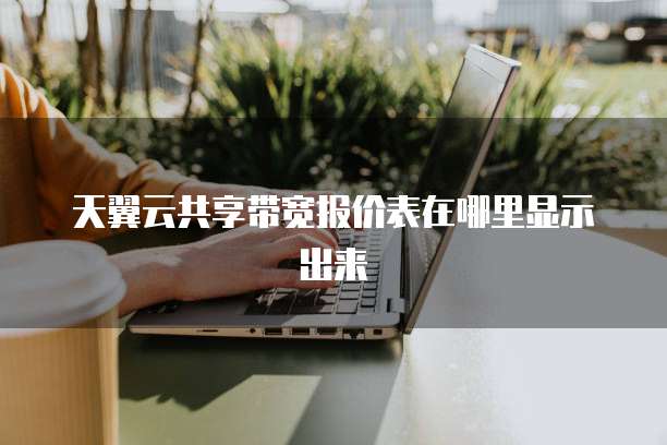 天翼云共享带宽报价表在哪里显示出来