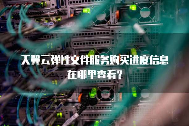 天翼云弹性文件服务购买进度信息在哪里查看?