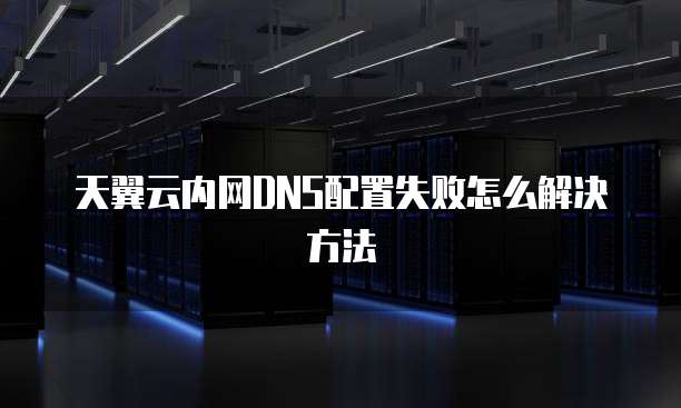 天翼云内网DNS配置失败怎么解决方法