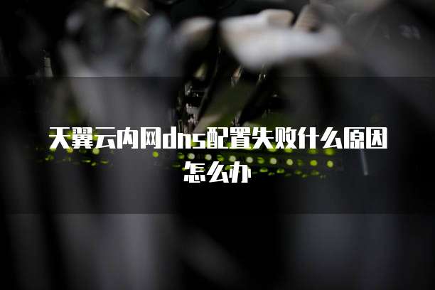 天翼云内网dns配置失败什么原因怎么办