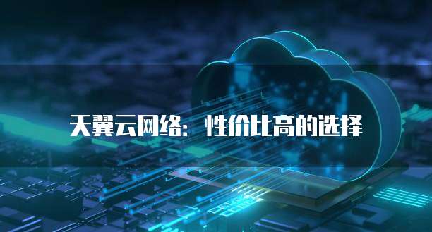 天翼云网络:性价比高的选择