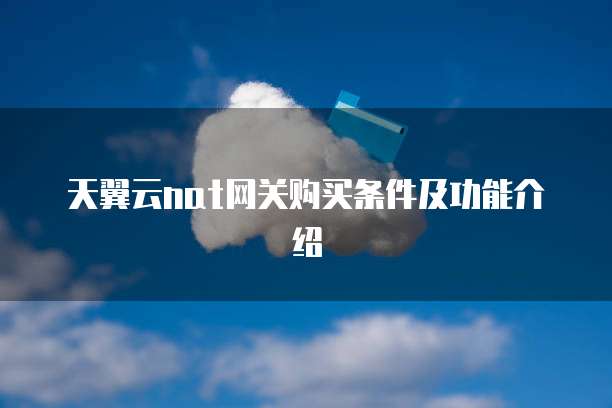天翼云nat网关购买条件及功能介绍