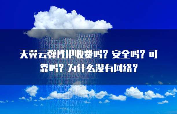 天翼云弹性IP收费吗?安全吗?可靠吗?为什么没有网络?