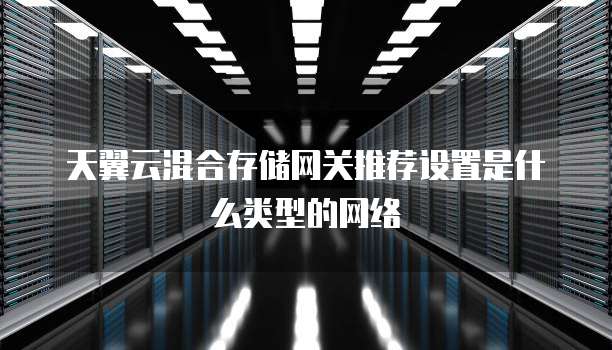 天翼云混合存储网关推荐设置是什么类型的网络