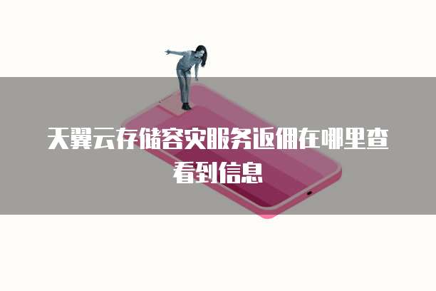 天翼云存储容灾服务返佣在哪里查看到信息