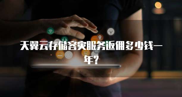 天翼云存储容灾服务返佣多少钱一年?
