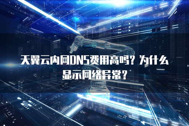 天翼云内网DNS费用高吗？为什么显示网络异常？