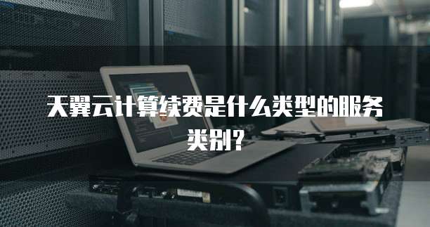 天翼云计算续费是什么类型的服务类别?