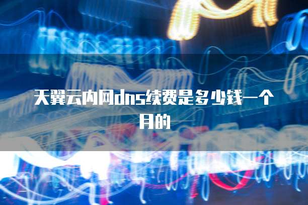 天翼云内网dns续费是多少钱一个月的