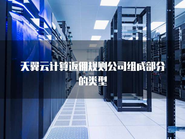 天翼云计算返佣规则公司组成部分的类型