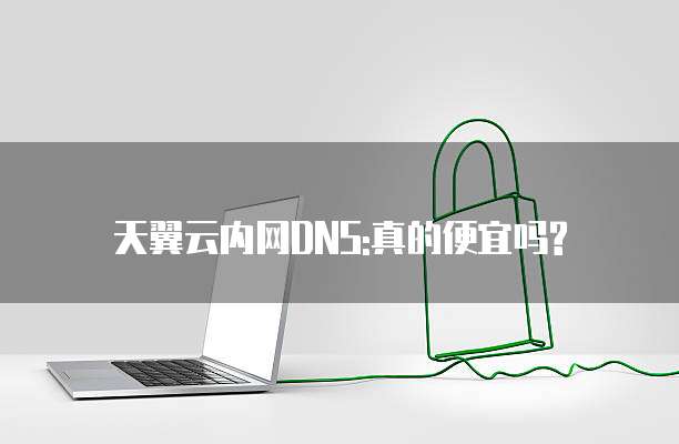 天翼云内网DNS:真的便宜吗?