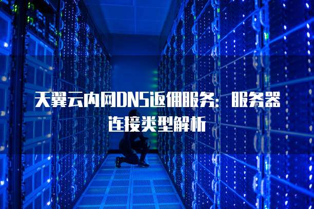 天翼云内网DNS返佣服务：服务器连接类型解析
