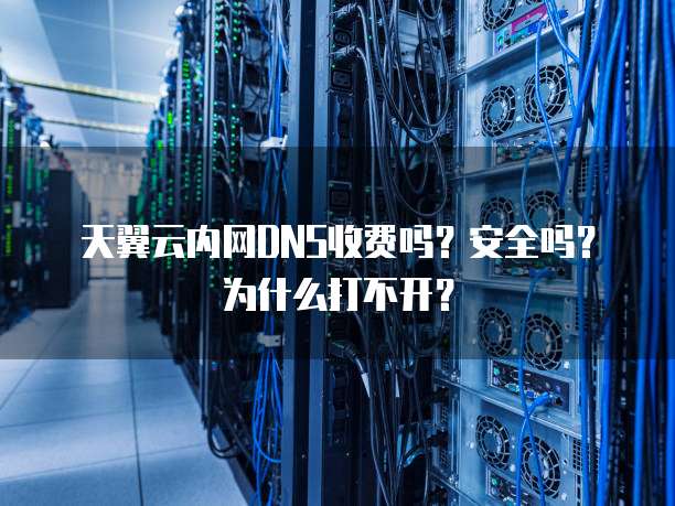 天翼云内网DNS收费吗？安全吗？为什么打不开？