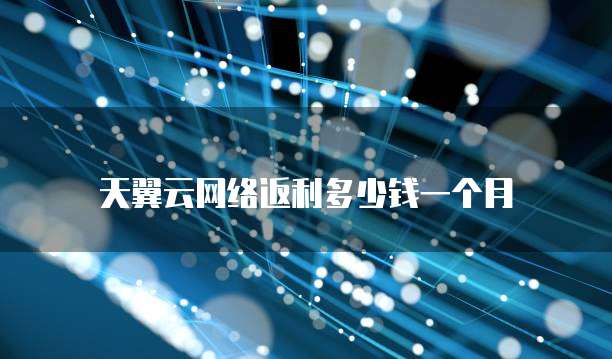 天翼云网络返利多少钱一个月