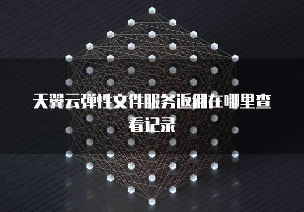 天翼云弹性文件服务返佣在哪里查看记录