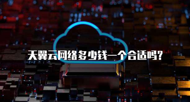 天翼云网络多少钱一个合适吗？