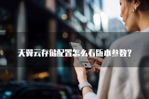 天翼云存储配置怎么看版本参数?