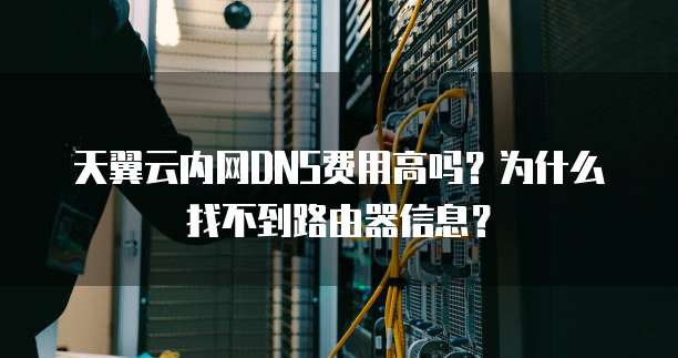 天翼云内网DNS费用高吗?为什么找不到路由器信息?