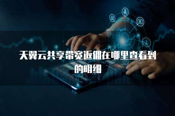 天翼云共享带宽返佣在哪里查看到的明细