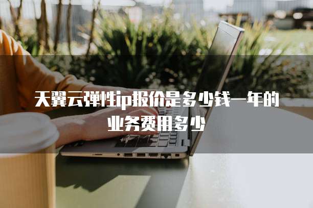 天翼云弹性ip报价是多少钱一年的业务费用多少