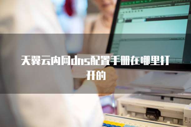 天翼云内网dns配置手册在哪里打开的