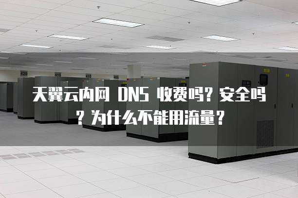 天翼云内网 DNS 收费吗?安全吗?为什么不能用流量?