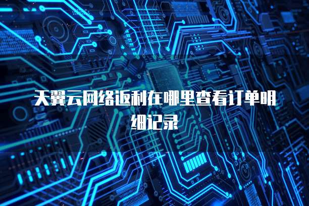 天翼云网络返利在哪里查看订单明细记录
