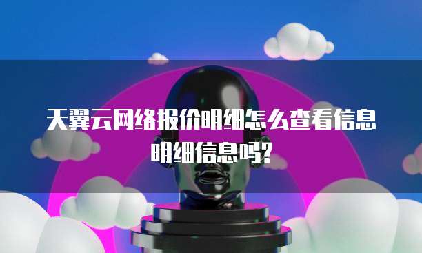 天翼云网络报价明细怎么查看信息明细信息吗?