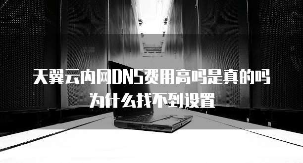 天翼云内网DNS费用高吗是真的吗为什么找不到设置