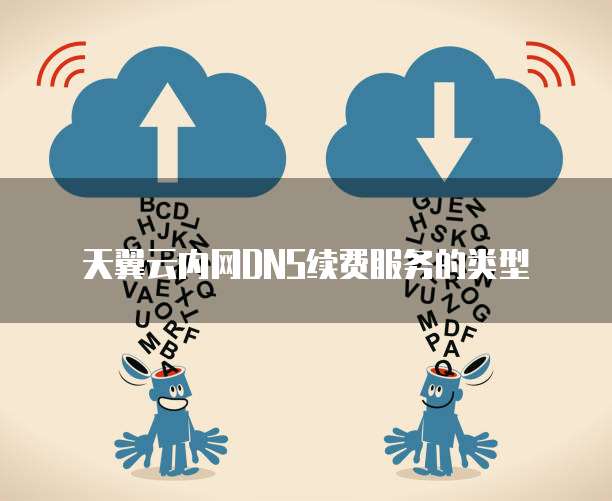 天翼云内网DNS续费服务的类型